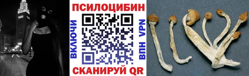 Псилоцибиновые грибы прущие грибы  shop состав  Оса 